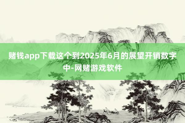 赌钱app下载这个到2025年6月的展望开销数字中-网赌游戏软件