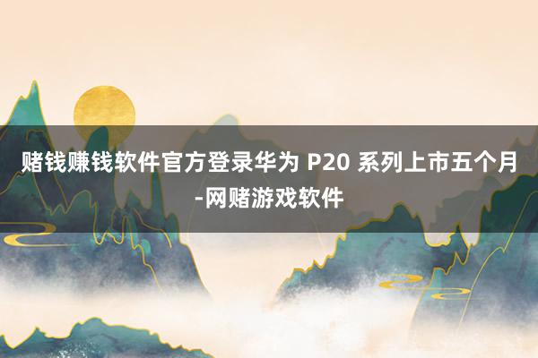 赌钱赚钱软件官方登录华为 P20 系列上市五个月-网赌游戏软件