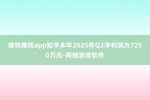 赌钱赚钱app知乎本年2025年Q2净利润为7250万元-网赌游戏软件