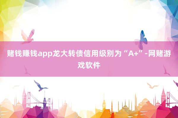 赌钱赚钱app龙大转债信用级别为“A+”-网赌游戏软件