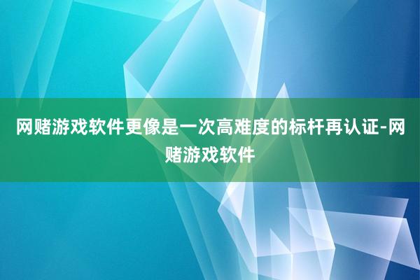 网赌游戏软件更像是一次高难度的标杆再认证-网赌游戏软件