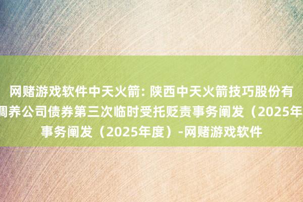 网赌游戏软件中天火箭: 陕西中天火箭技巧股份有限公司公建造行可调养公司债券第三次临时受托贬责事务阐发（2025年度）-网赌游戏软件