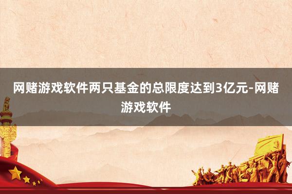 网赌游戏软件两只基金的总限度达到3亿元-网赌游戏软件