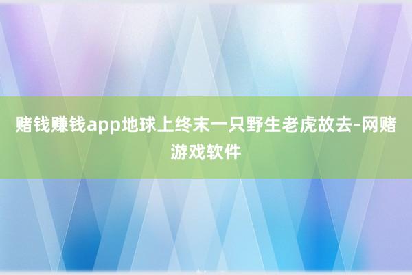 赌钱赚钱app地球上终末一只野生老虎故去-网赌游戏软件